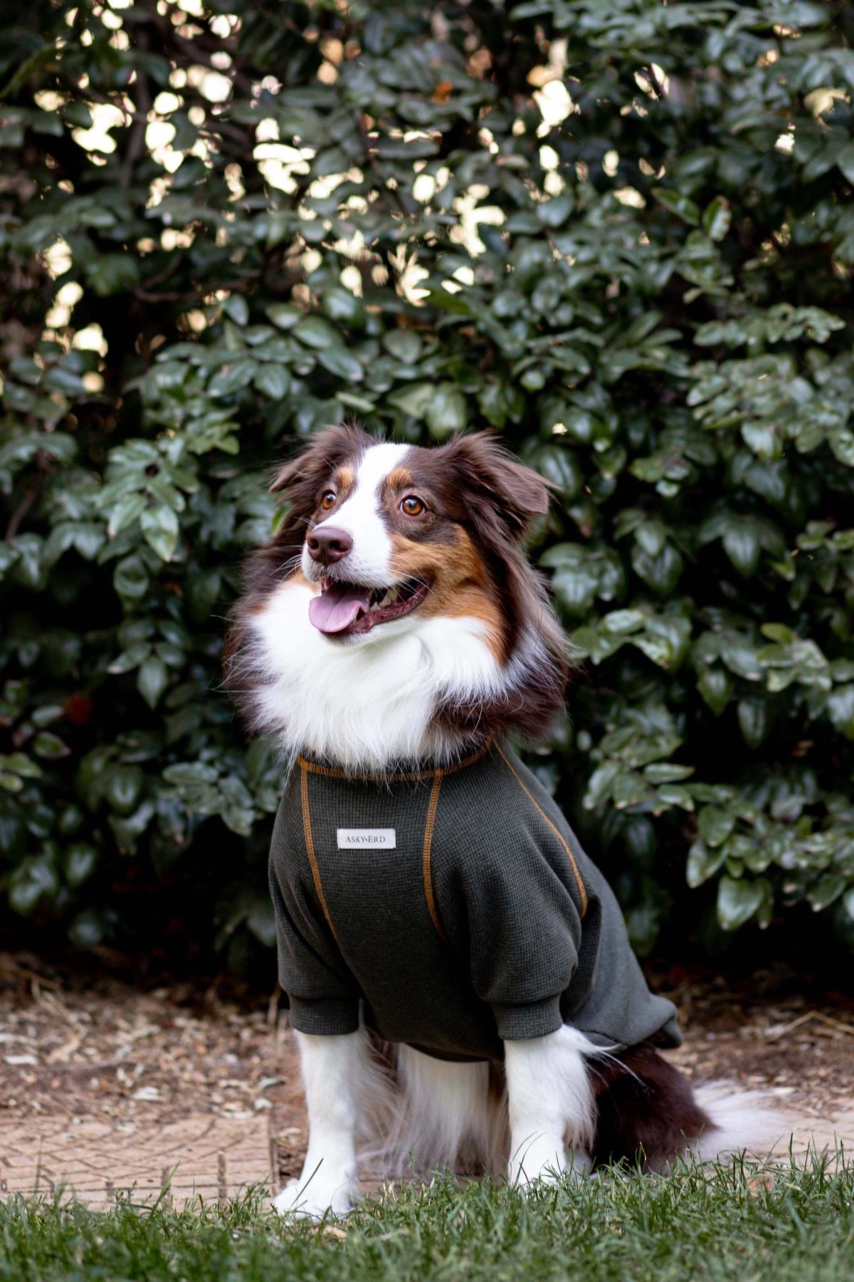 Waffle Tshirt | Iconic Khaki