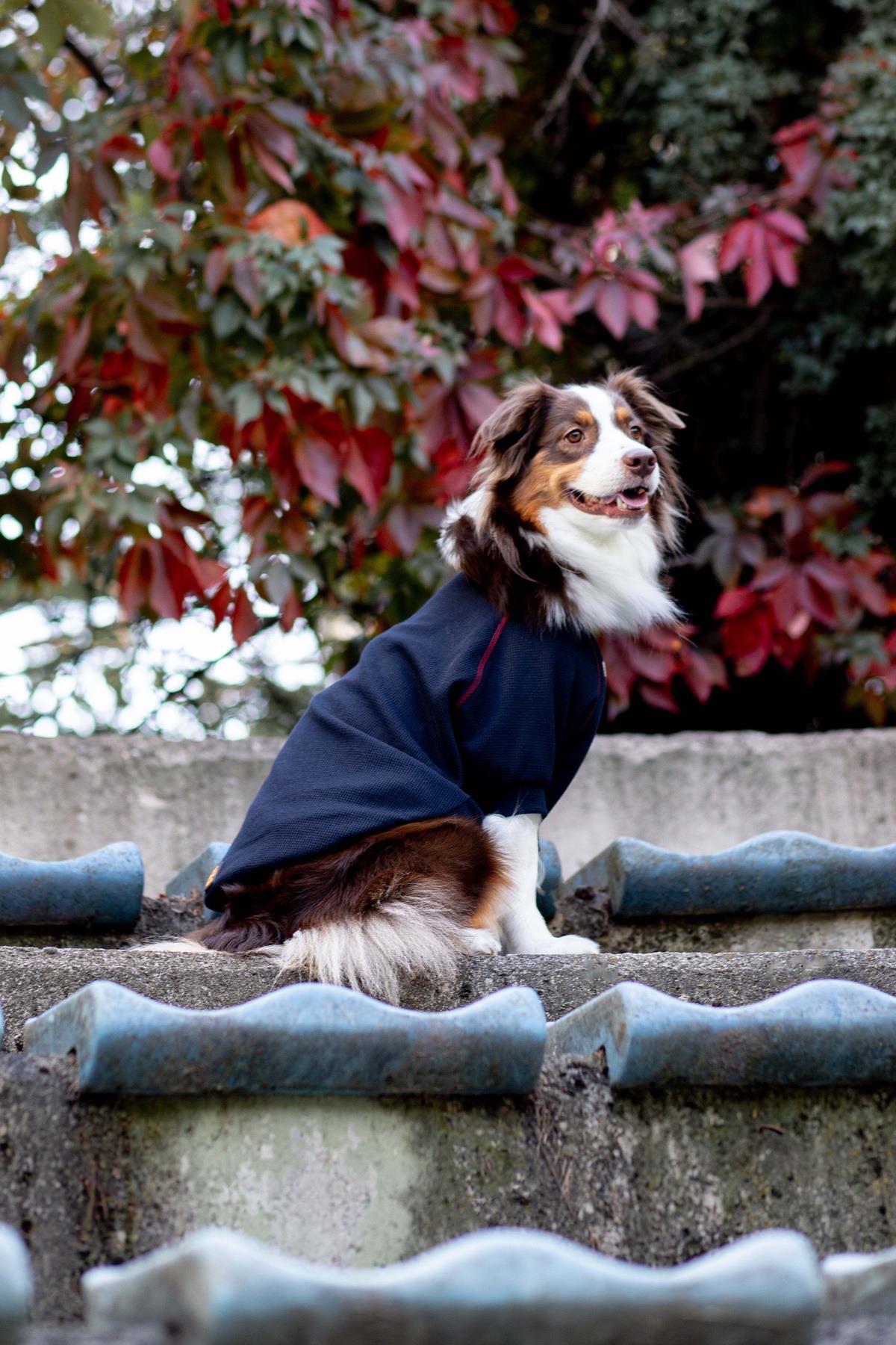 Waffle Tshirt | Royal Blue