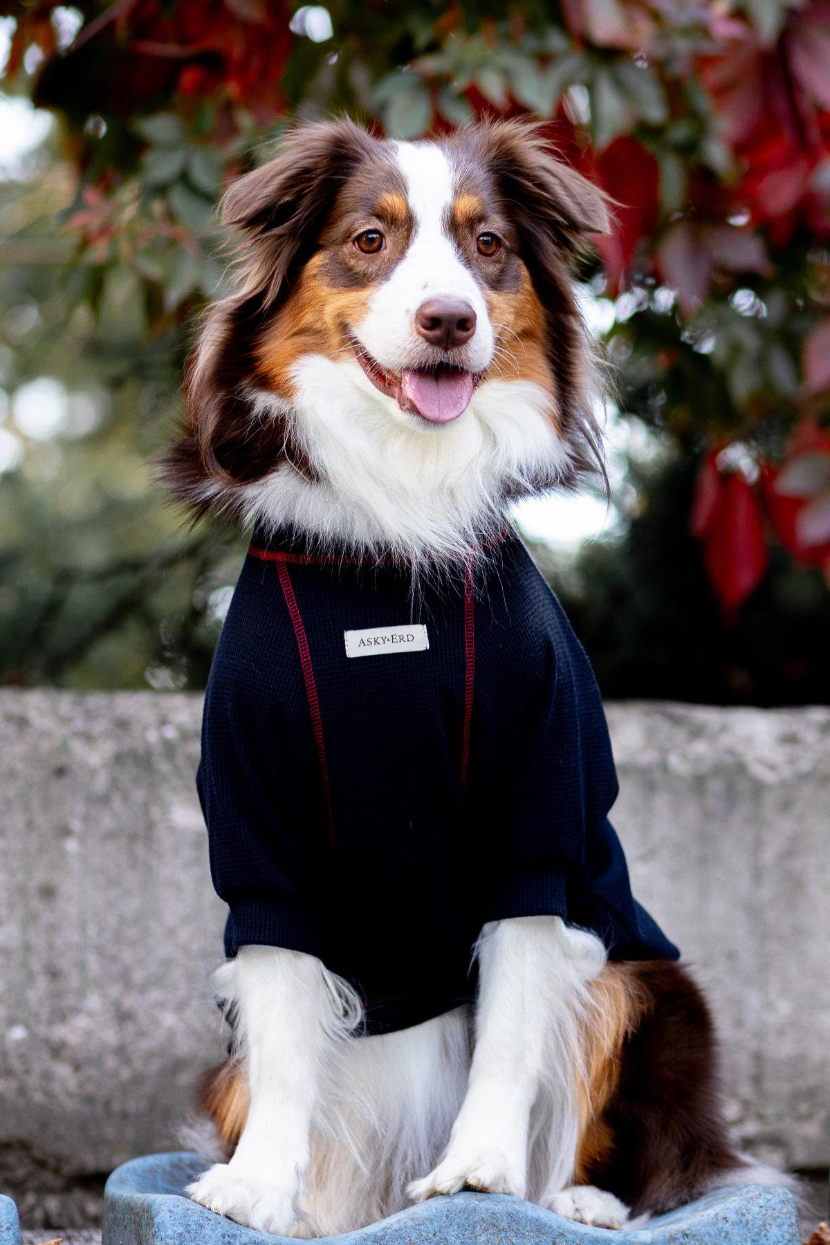 Waffle Tshirt | Royal Blue