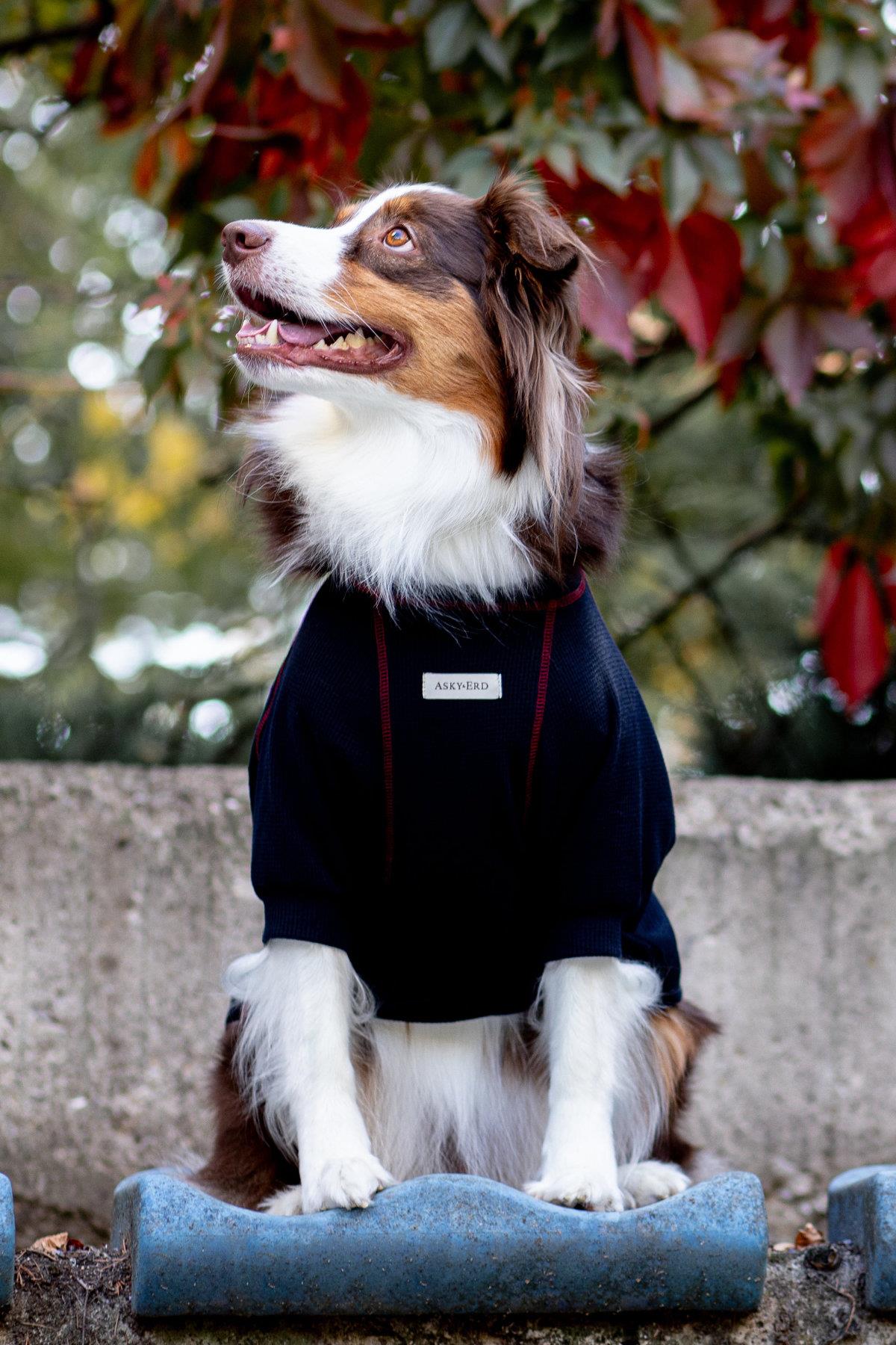 Waffle Tshirt | Royal Blue