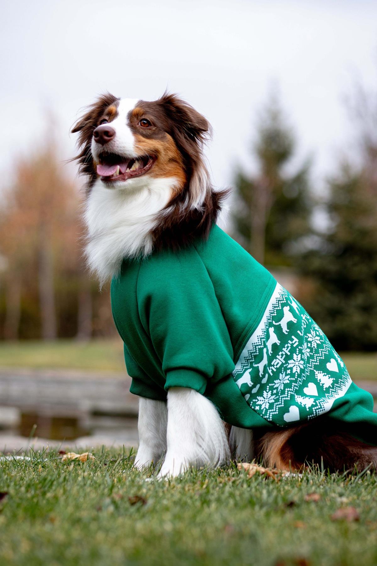 Woofmas | Festive Forest