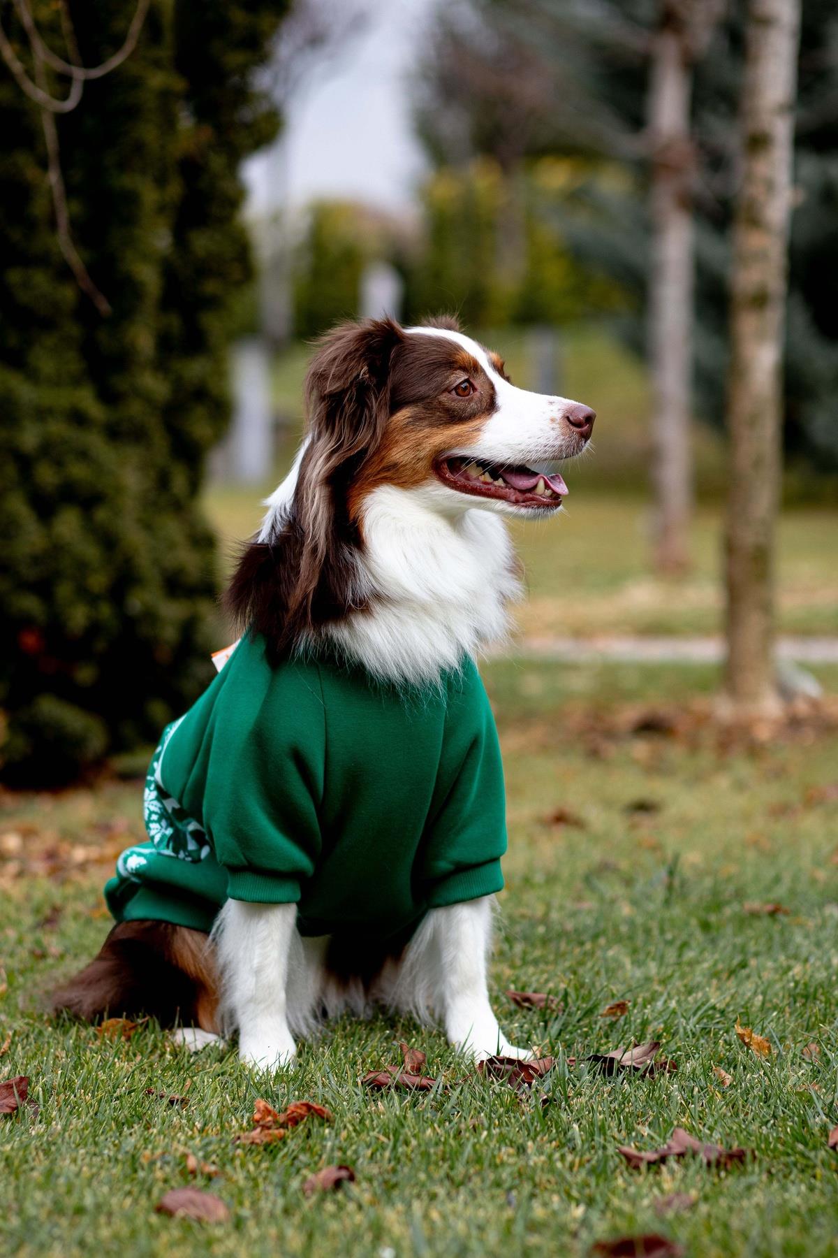 Woofmas | Festive Forest