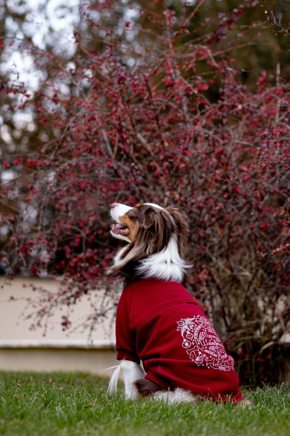 Woofmas | Holiday Harmony