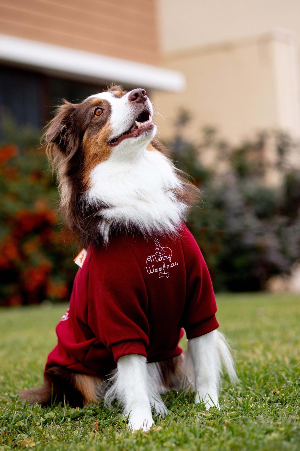 Woofmas | Holiday Harmony