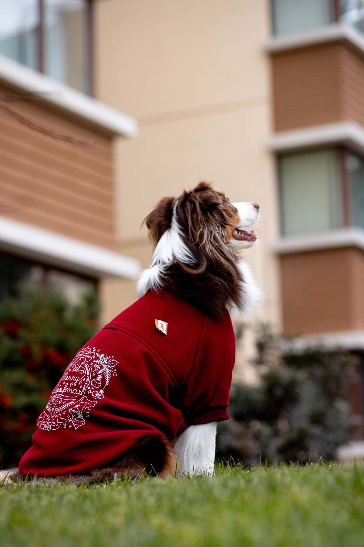 Woofmas | Holiday Harmony
