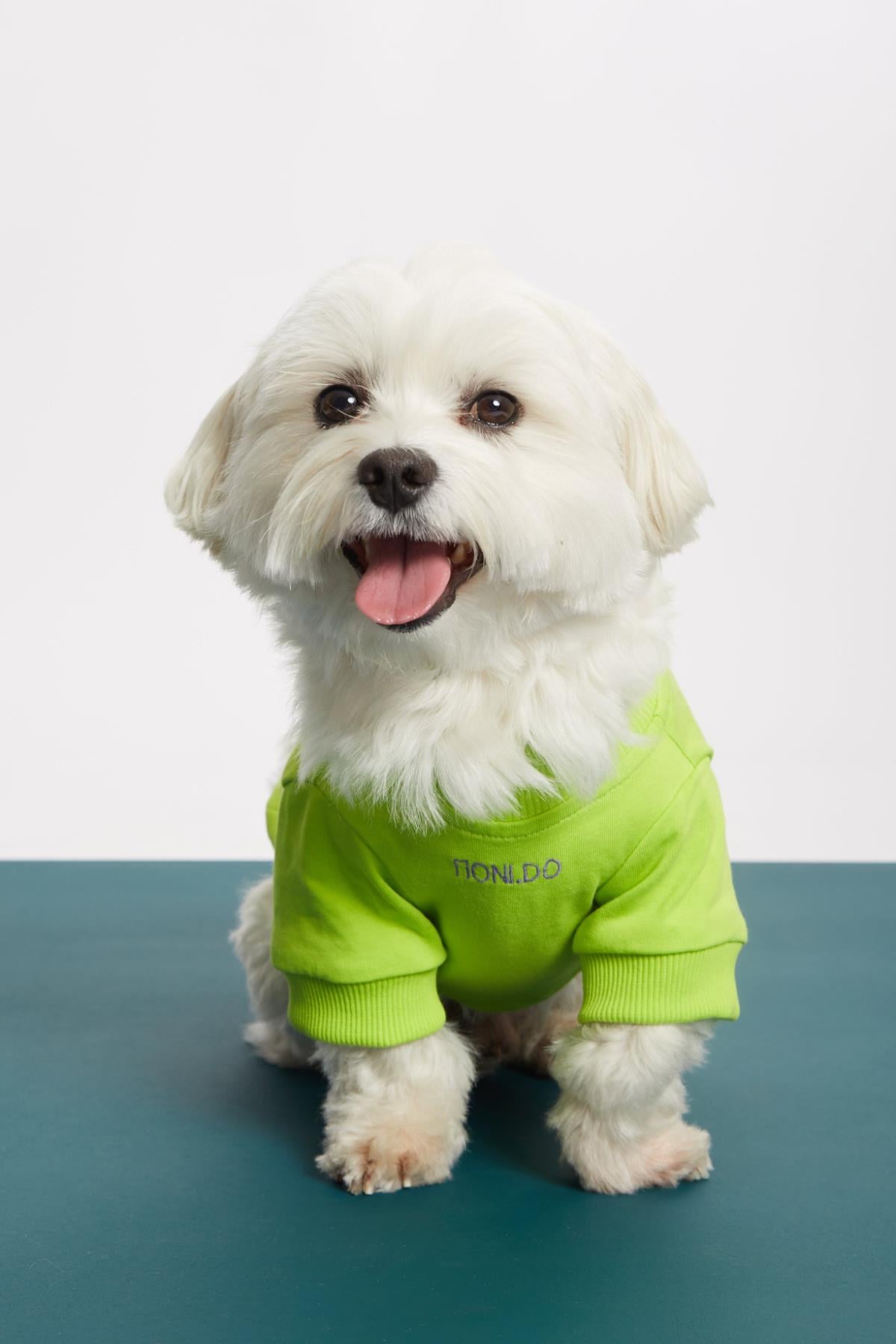 Monido Green Fine Dog Sweatshirt -