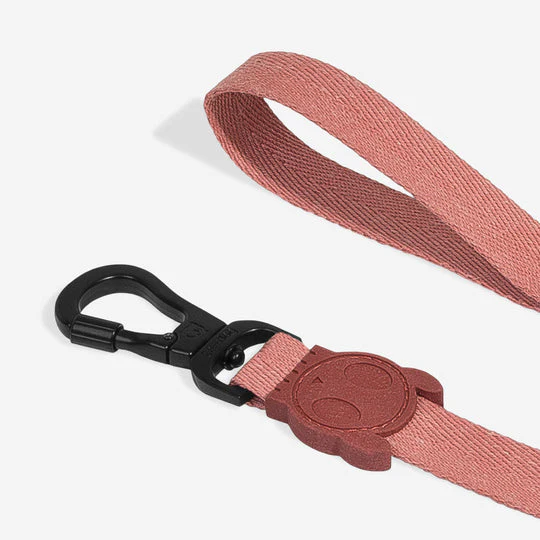 Zee.Dog Canyon Köpek Gezdirme Tasması
