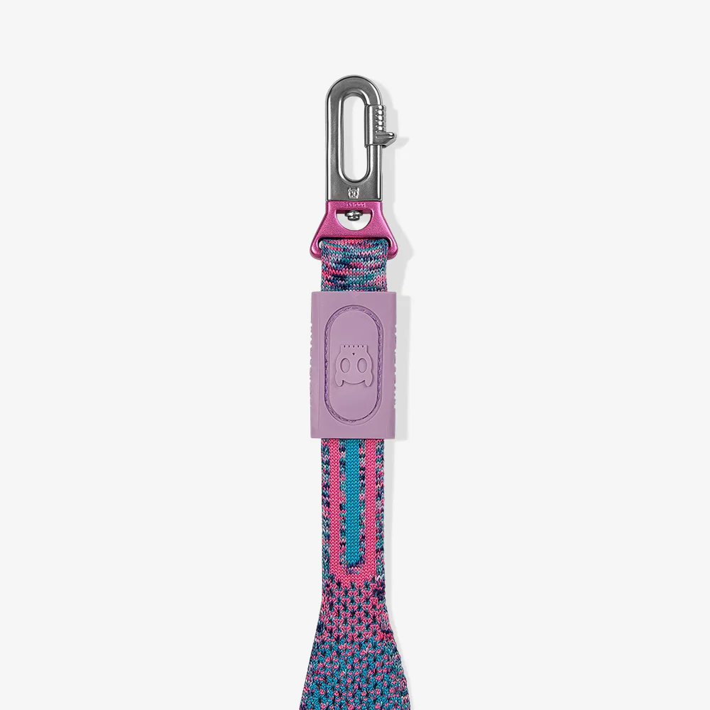 Zee.Dog Candy Nit Gezdirme Tasması