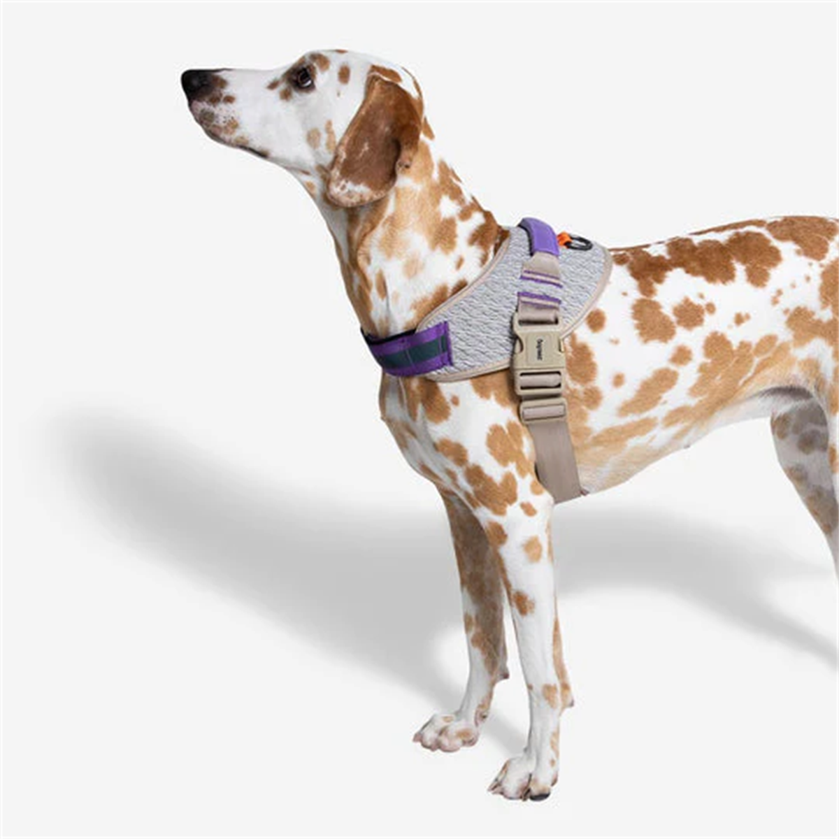 Zee.Dog ACG FlyHarness Göğüs Tasması