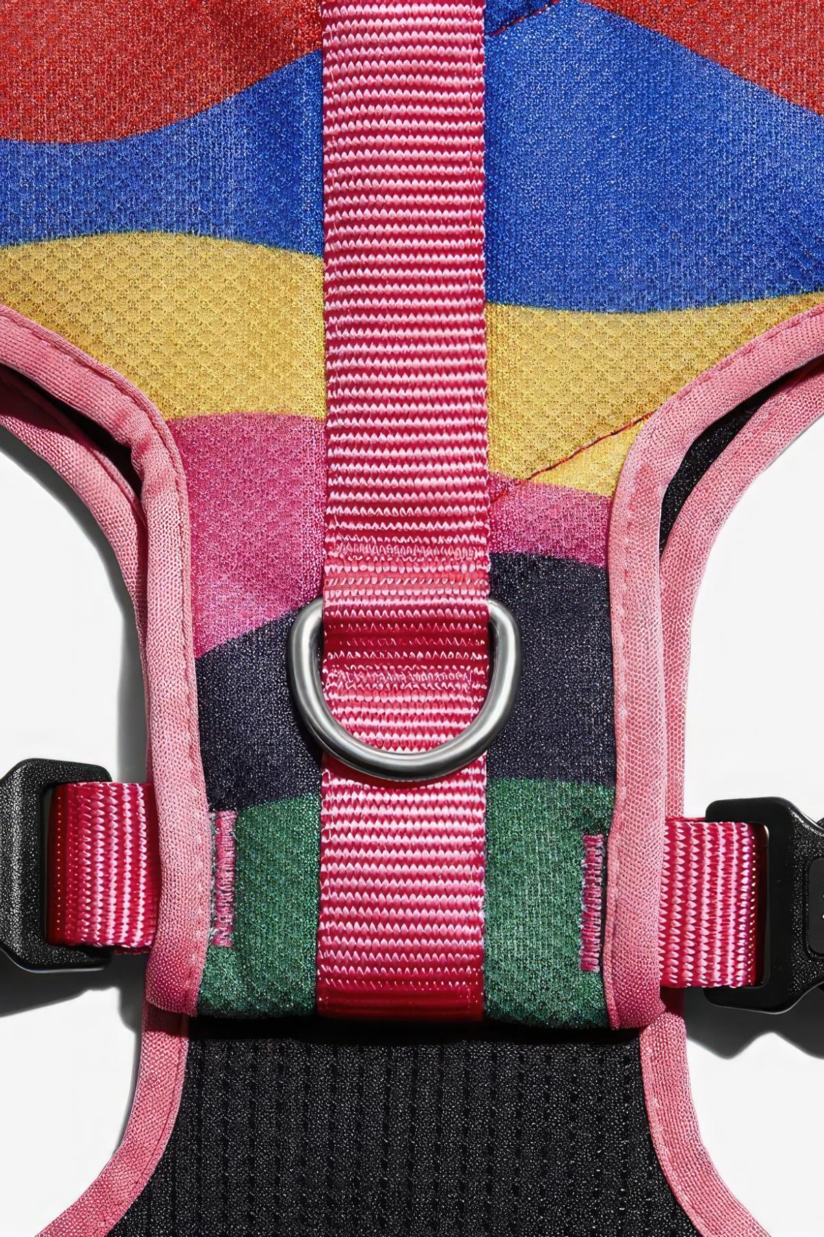 Zee.Dog Chroma Ayarlanabilir Air Mesh Köpek Göğüs Tasması