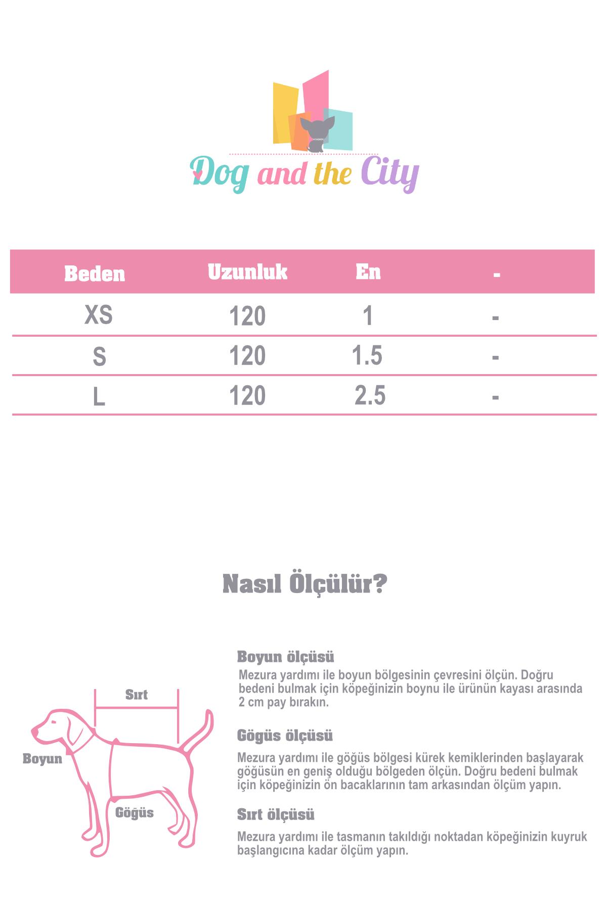 Zee.Dog Midnight Köpek Gezdirme Tasması
