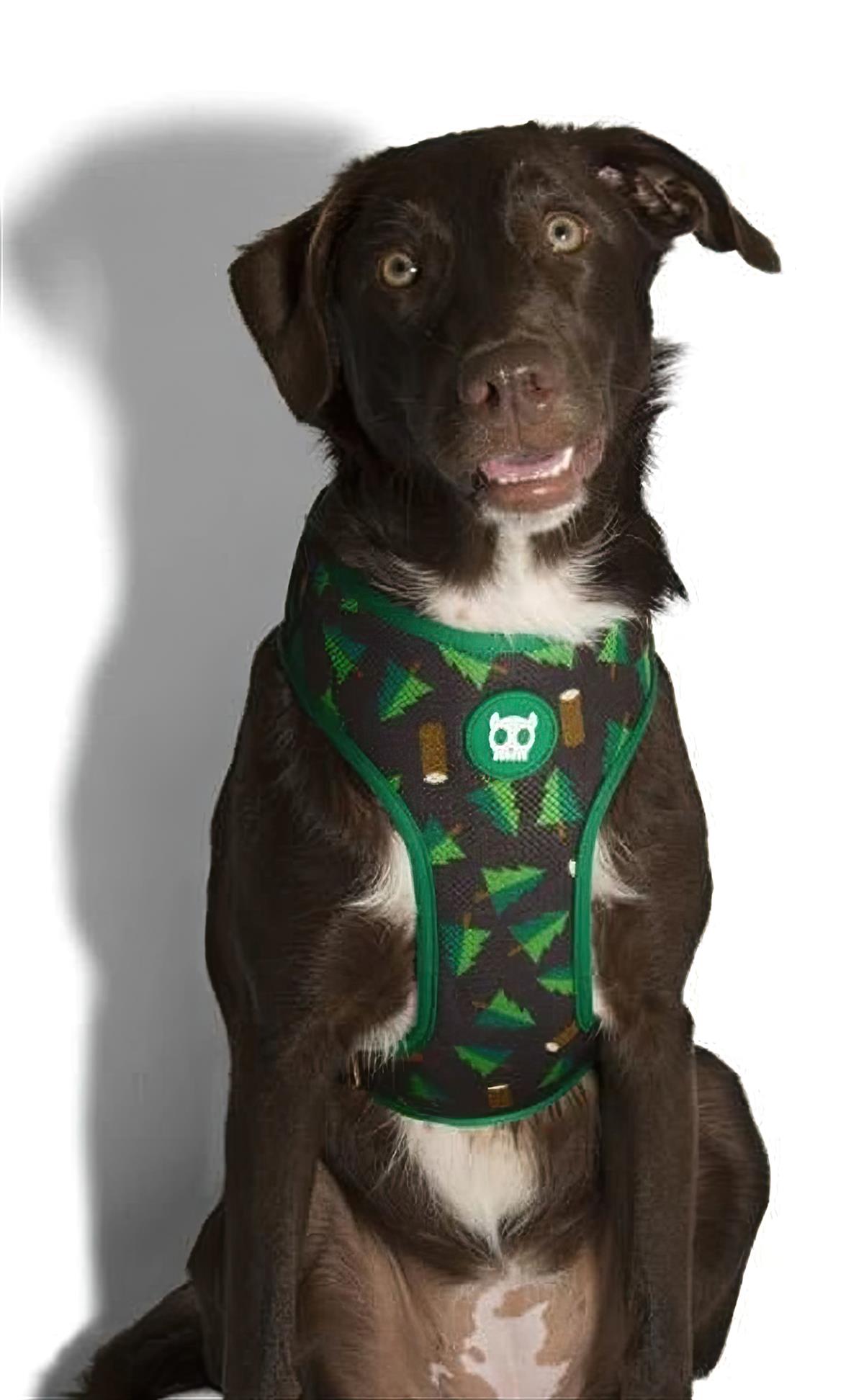 Zee.Dog Woods Air Mesh Köpek Göğüs Tasması