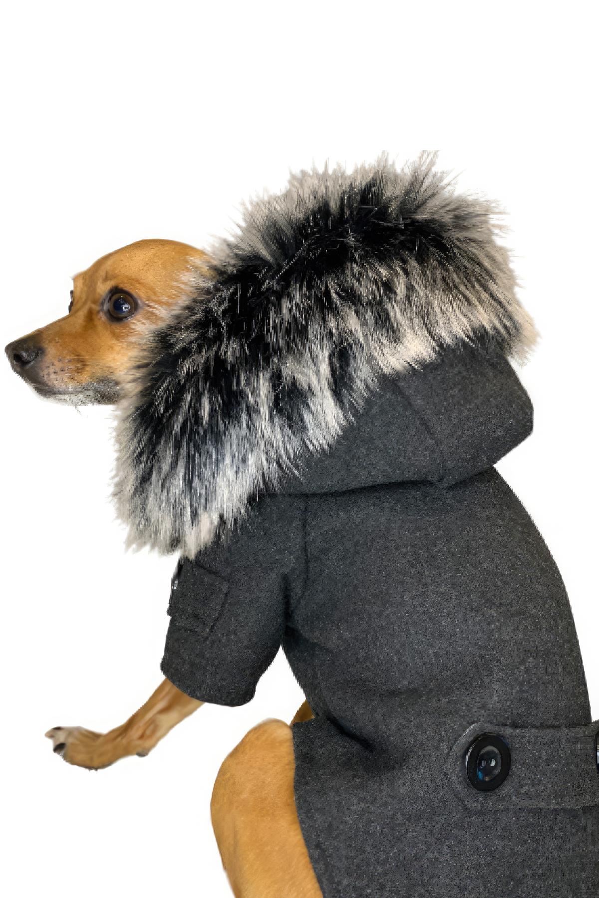 ZiggyDog Gri Kaşe Köpek Ceket