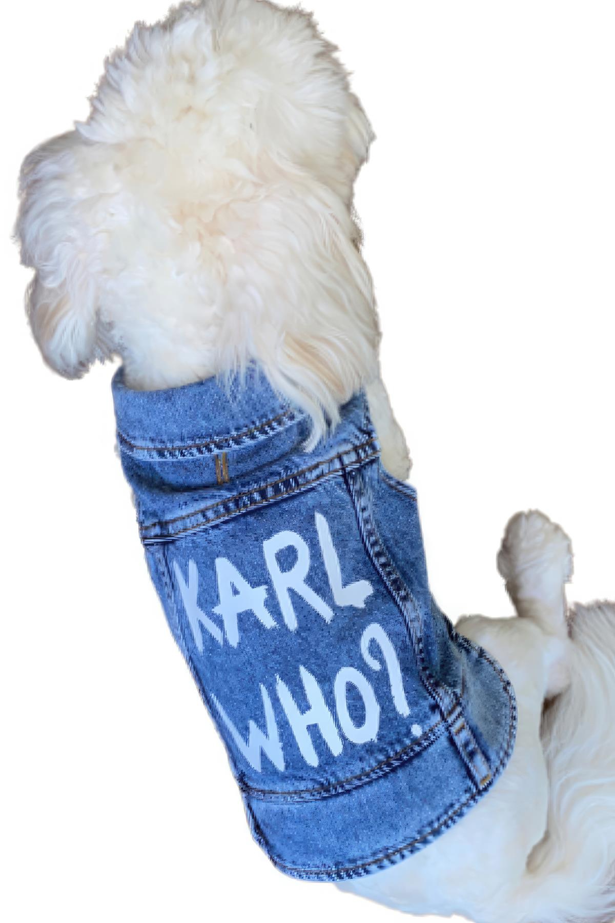 ZiggyDog Karl Who? Kot Köpek Ceketi