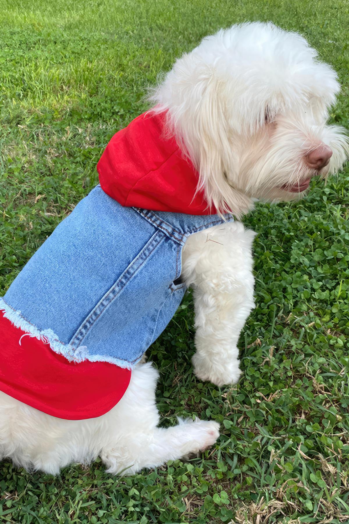 ZiggyDog Kırmızı Kot Köpek Ceketi