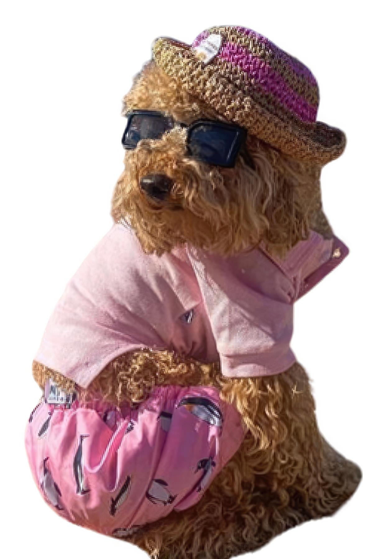 ZiggyDog Pembe Polo Köpek Tişörtü