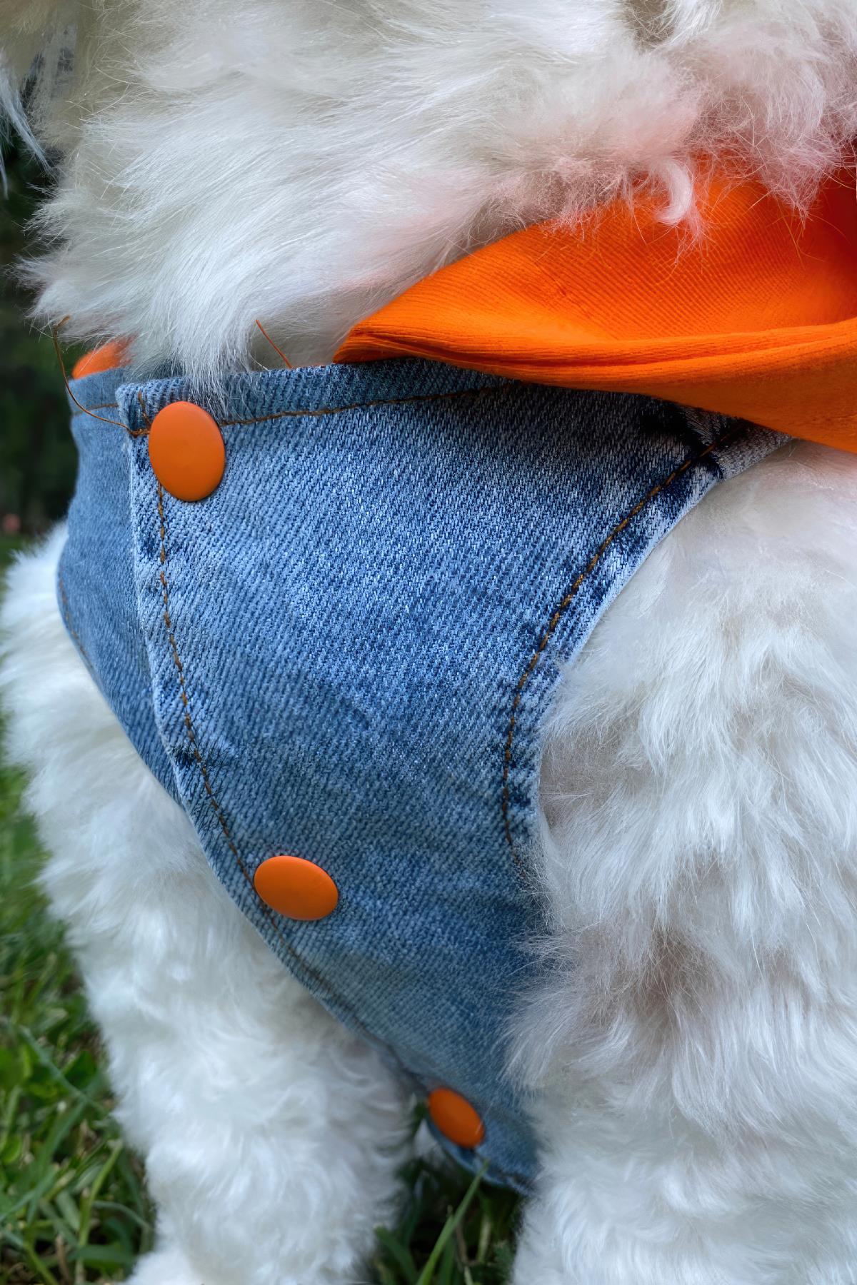 ZiggyDog Turuncu Kot Köpek Ceketi