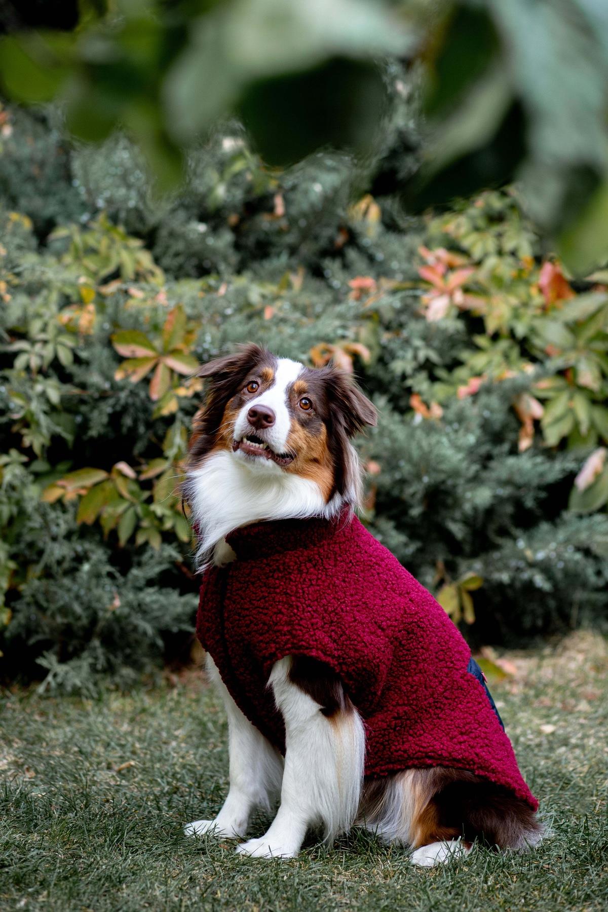 Zippered Sherpa Vest | Burgundy
