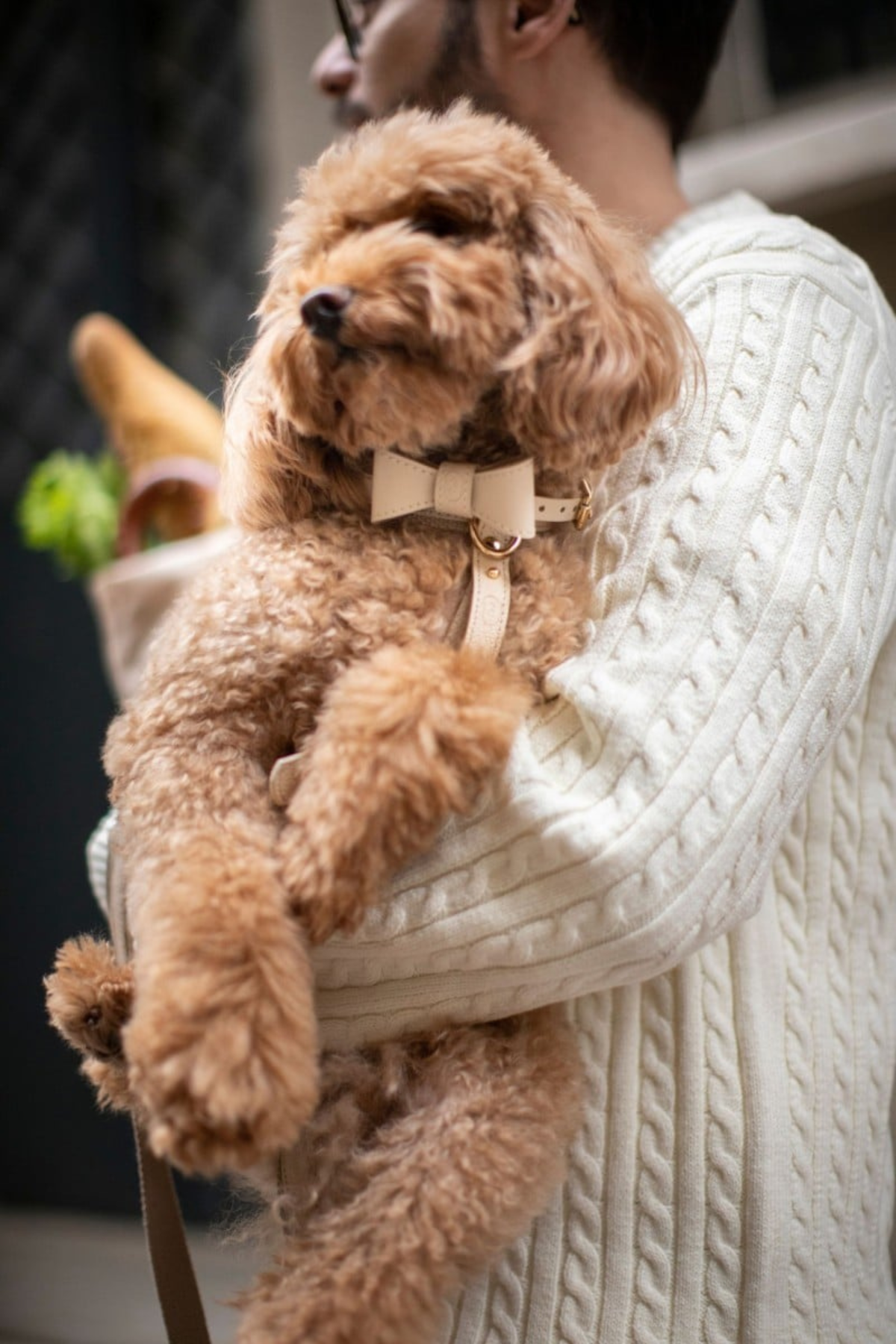 Zoe Pet Atelier Boyun Tasması Mini - Bej 