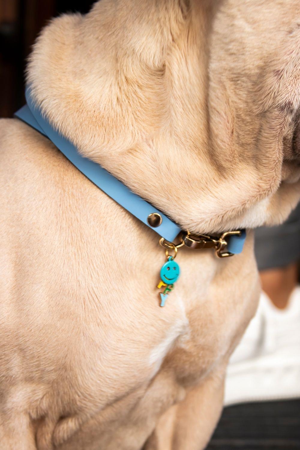 Zoe Pet Atelier Charm Boyun Tasması - Mavi