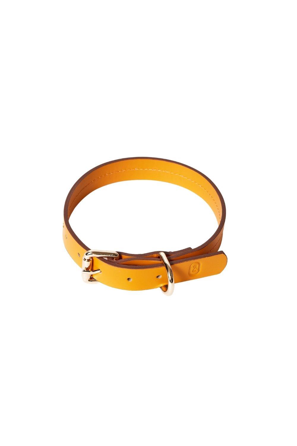 Zoe Pet Atelier Classic Boyun Tasması - Turuncu