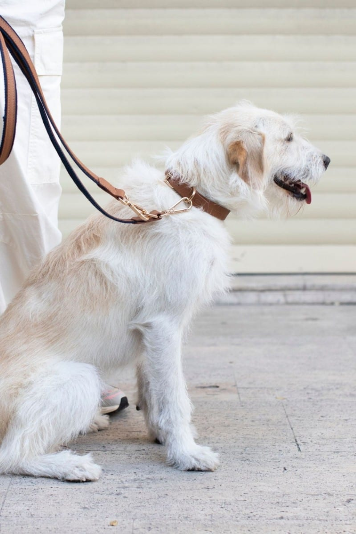 Zoe Pet Atelier SOFT TOUCH COLLAR Kahverengi - XS