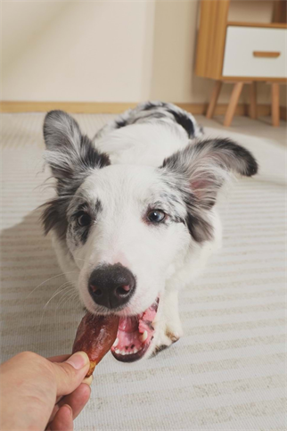 M-PETS BBQ KINGS RIB BITES CHICKEN ÖDÜL 115GR