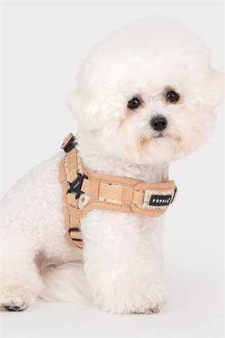 Lilac Harness X Köpek Göğüs Tasması Bej 