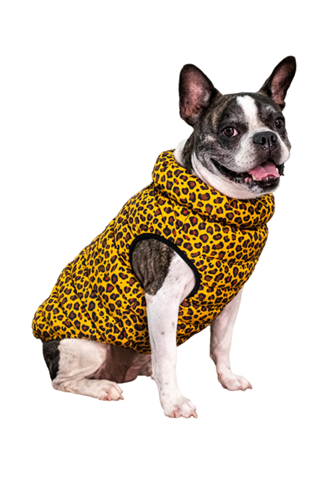 Puppia Wild Puffer Yelekli Göğüs Tasması - Kahverengi