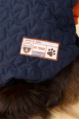 Asky And Erd Star Varsity Hoodie Terracotta