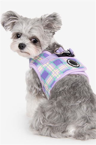 Jaylen Harness B Köpek Göğüs Tasması Mor