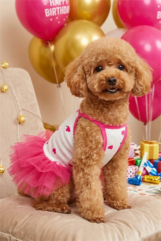 Gedyco Love Pembe Tütü Köpek Elbise
