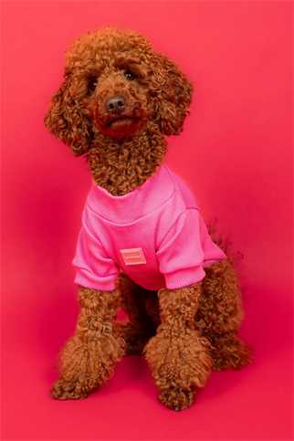 Goodboi Pembe Taşlı Ribana Köpek T-shirtleri