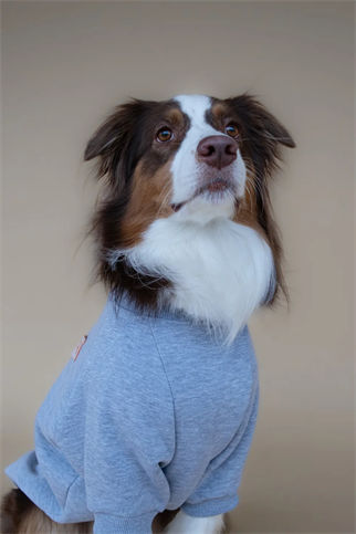 Asky&Erd Love Paws Sweatshirt | Heather Grey