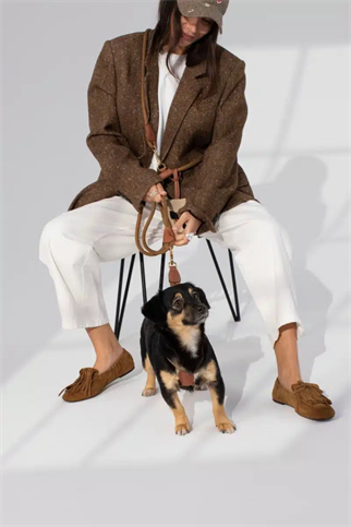 Zoe Pet Atelier Loop Crossbody Köpek Gezdirme Kayışı Karamel Kahverengi