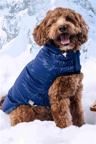 GF PET Lunar Glow Köpek Montu - Lacivert