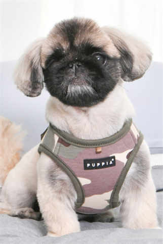 Lance Harness B Köpek Göğüs Tasması Kamuflaj 