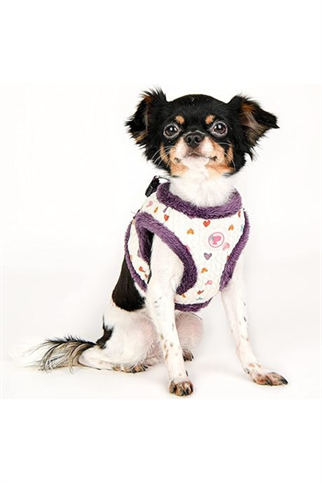 Pinkaholic New York Merry Pinka Göğüs Tasması - Mor