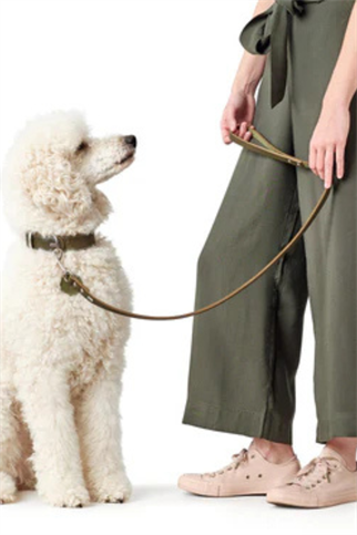 Hunter Aalborg Köpek Gezdirme Kayışı Olive 2 cm/100 cm