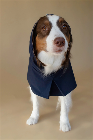 Seattle Raincoat | Indigo Storm
