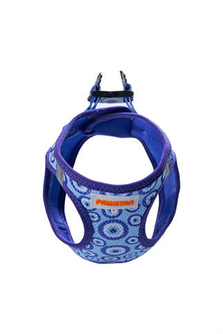 PawStar Nazar Boncuklu Köpek Göğüs Tasması 