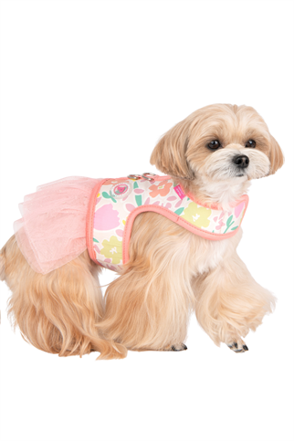 Pinkaholic New York Evanthe Flirt Harness Elbise Göğüs Tasması Pembe