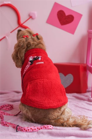 Lolidogs Köpek Bomber Ceket | Cherry
