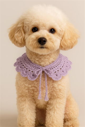 Lolidogs Pastel Örgü Köpek Yakalık Lila
