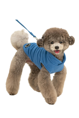 Puppia Lucius Köpek Poları Göğüs Tasmalı - Mavi