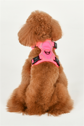 Puppia Neon Harness H Göğüs Tasması Pembe