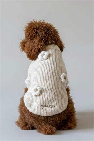 Apac.co Çiçekli Köpek Kazak Ekru 