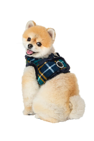 Puppia Norman Harness B Göğüs Tasması Lacivert