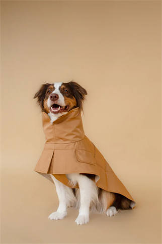 Asky&Erd Trenchcoat Signature Beige