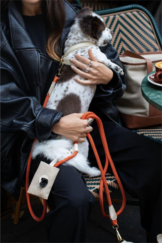 Zoe Pet Atelier Cross Harness Köpek Göğüs Tasması Seti Bej ve Portakal Rengi